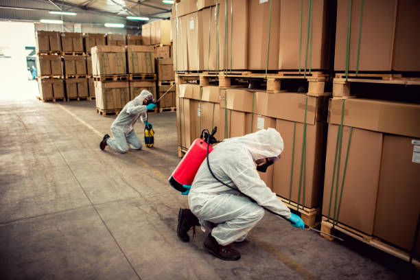 Best Emergency Pest Control  in Portsmouth, OH