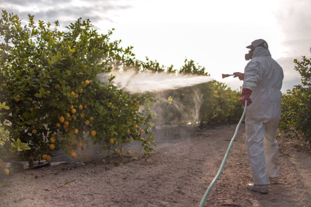 Best Best Pest Control Companies  in Portsmouth, OH