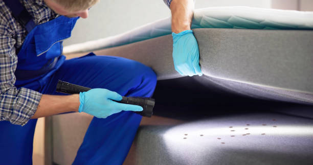 Best Local Pest Control Services  in Portsmouth, OH