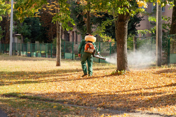 Best Affordable Pest Control Services  in Portsmouth, OH