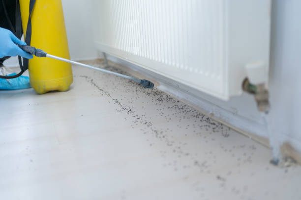 Best Cockroach Control Services  in Portsmouth, OH