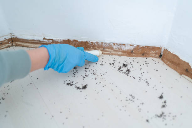 Best Mosquito Control Services  in Portsmouth, OH